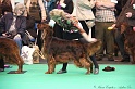 Crufts2011 729